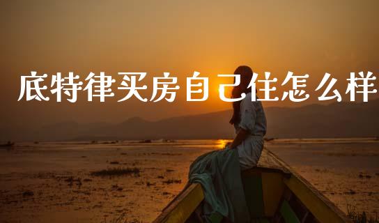 底特律买房自己住怎么样_https://www.gongyisiwang.com_焦炭期货手续费_第1张