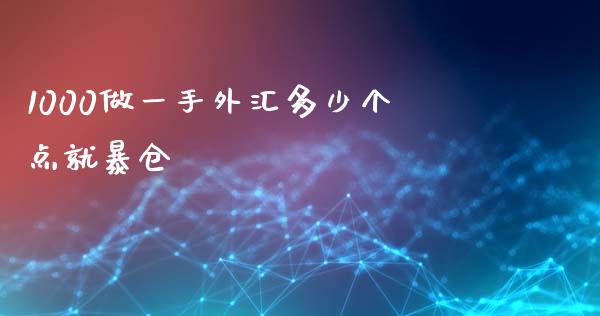 1000做一手外汇多少个点就暴仓_https://www.gongyisiwang.com_期货公司手续费排名_第1张