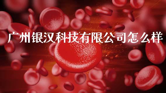 广州银汉科技有限公司怎么样_https://www.gongyisiwang.com_期货公司手续费排名_第1张