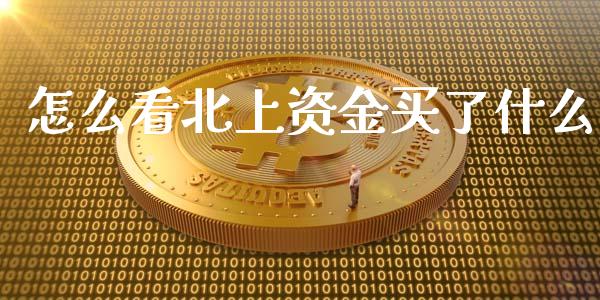 怎么看北上资金买了什么_https://www.gongyisiwang.com_焦炭期货手续费_第1张