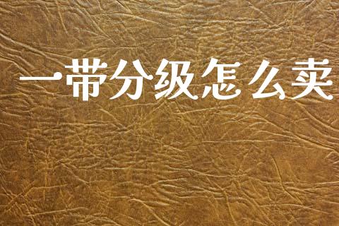 一带分级怎么卖_https://www.gongyisiwang.com_焦炭期货手续费_第1张