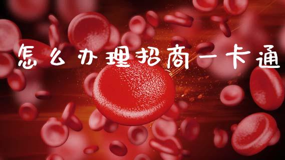 怎么办理招商一卡通_https://www.gongyisiwang.com_原油期货_第1张