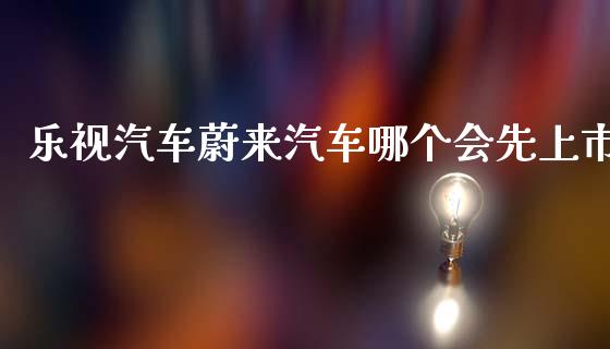 乐视汽车蔚来汽车哪个会先上市_https://www.gongyisiwang.com_道指_第1张
