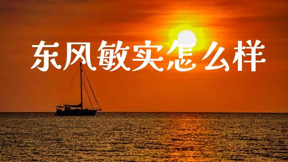 东风敏实怎么样_https://www.gongyisiwang.com_广发期货手续费_第1张