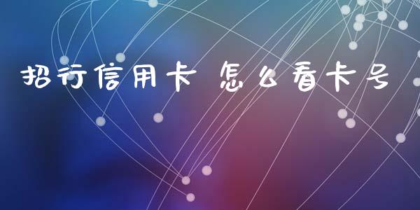 招行信用卡 怎么看卡号_https://www.gongyisiwang.com_期货公司手续费排名_第1张