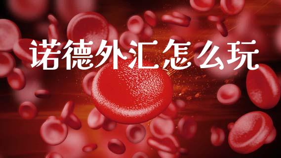 诺德外汇怎么玩_https://www.gongyisiwang.com_恒指期货_第1张