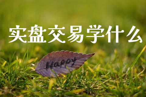 实盘交易学什么_https://www.gongyisiwang.com_焦炭期货手续费_第1张