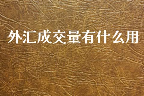 外汇成交量有什么用_https://www.gongyisiwang.com_广发期货手续费_第1张