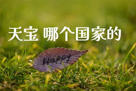 天宝 哪个国家的_https://www.gongyisiwang.com_股指期货_第1张